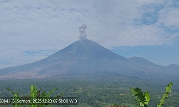 Semeru Erupsi, Kolom Abu Capai 1.000 Meter