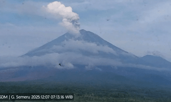 Semeru Empat Kali Meletus, Kolom Abu Capai 1 Km