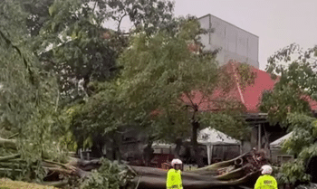 Layanan Transjakarta Terdampak Banjir dan Pohon Tumbang
