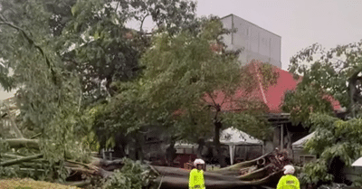 Layanan Transjakarta Terdampak Banjir dan Pohon Tumbang 1 Layanan Transjakarta Terdampak Banjir dan Pohon Tumbang