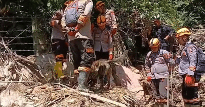 K-9 Polri Maksimalkan Pencarian Korban Sibolga 1 K-9 Polri Maksimalkan Pencarian Korban Sibolga