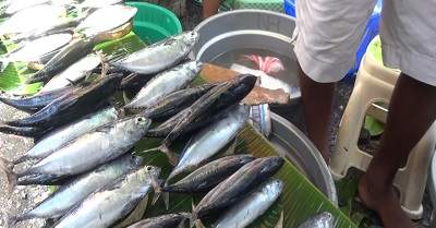 Harga Ikan, Ayam, dan Cabai di Pasar Mardika Ambon Berfluktuasi 1 Harga Ikan, Ayam, dan Cabai di Pasar Mardika Ambon Berfluktuasi