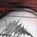 Gempa Dangkal Magnitudo 6,7 Guncang Palu