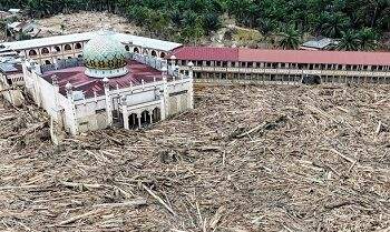 950 Orang Tewas Akibat Bencana Sumatera, Terbanyak di Aceh