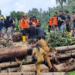Korban Banjir Bandang Pulau Siau Capai 17 Orang 8 Korban Banjir Bandang Pulau Siau Capai 17 Orang