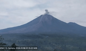 Gunung Semeru Erupsi, Kolom Abu 700 Meter
