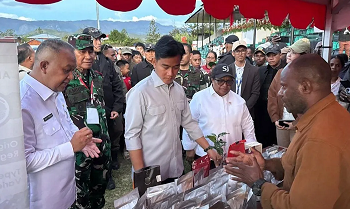 Wapres Pastikan Program Quick Wins Optimal di Papua Pegunungan