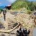 Penambang Ilegal Bebas Beroperasi di Sungai Kalianahoni Meski Ada Pos Keamanan