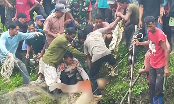 Wanita Tewas Diterkam Buaya di Simeulue