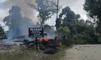 PT Kristalin Sesalkan Serangan di Nabire