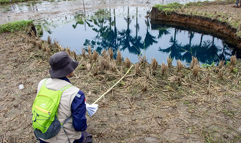 Sinkhole Situjuah Berpotensi Melebar
