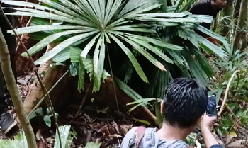 Pekerja Hilang di Hutan Berau Masih Dicari