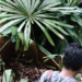 Pekerja Hilang di Hutan Berau Masih Dicari 8 Pekerja Hilang di Hutan Berau Masih Dicari