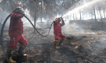 Kemenhut Intensif Padamkan Karhutla di Riau dan Kepri