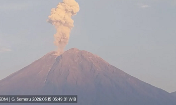 Semeru Erupsi 11 Kali, Letusan Capai 1.200 Meter