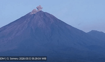 Semeru Erupsi Empat Kali, Letusan Capai 600 Meter