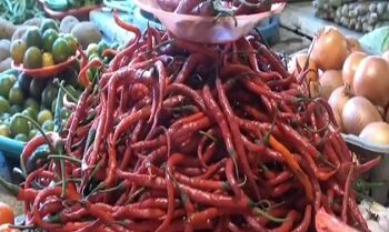 Harga Cabai di Pasar Namlea Tembus Rp90 Ribu per Kilogram Jelang Idulfitri