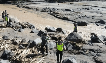 SAR Kerahkan Anjing Pelacak Cari Korban Lahar Hujan Merapi