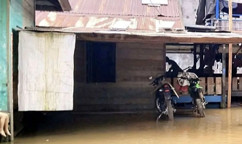 Sungai Mentaya Meluap, Enam Desa Terendam Banjir