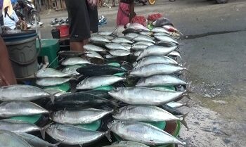 Harga Ikan di Pasar Arumbai Ambon Mengalami Kenaikan