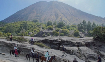 Dua Tewas dalam Kecelakaan Jip di Jalur Wisata Bromo