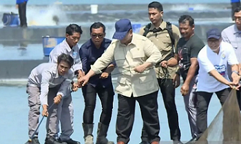 Prabowo Tinjau Panen Raya Udang di Kebumen