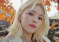 Jeongyeon TWICE Didekati Agensi Kakaknya
