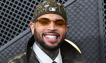 Chris Brown Divonis Bersalah dalam Kasus Serangan Anjing 2 Chris Brown Divonis Bersalah dalam Kasus Serangan Anjing