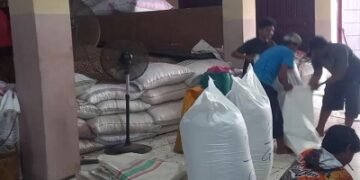 Harga Komoditas Hasil Bumi di Ambon Bergerak Beragam, Kopra dan Kakao Turun